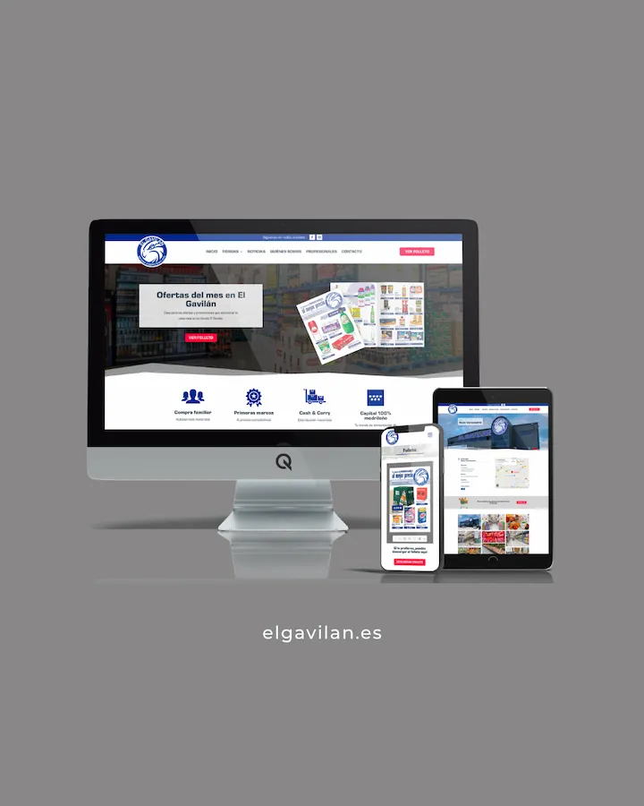 diseno-web-gavilan